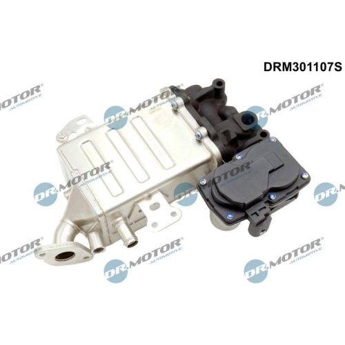 Dr.Motor Automotive K&uuml;hler, Abgasr&uuml;ckf&uuml;hrung DRM301107S