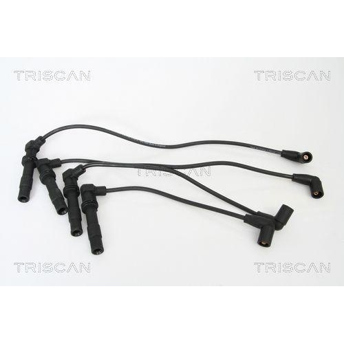 TRISCAN Z&uuml;ndleitungssatz 8860 29002