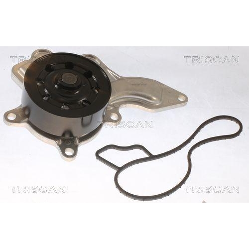 TRISCAN Wasserpumpe, Motork&uuml;hlung 8600 13053