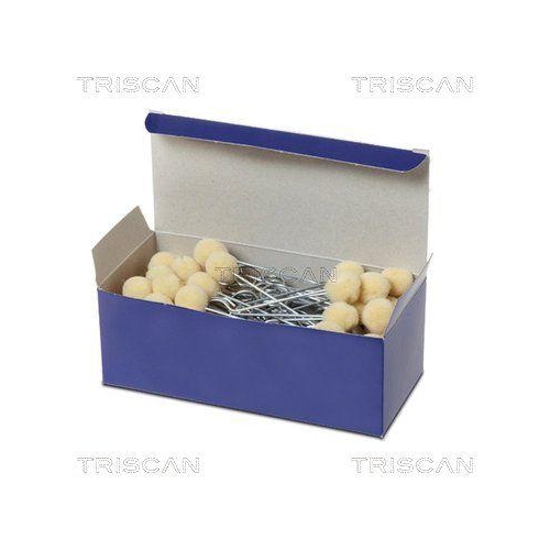 TRISCAN Scheibendemontage-Set R930157