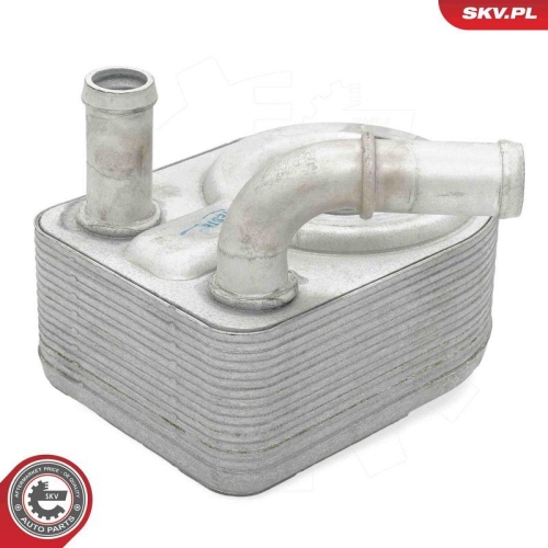 ESEN SKV &Ouml;lk&uuml;hler, Motor&ouml;l 31SKV303