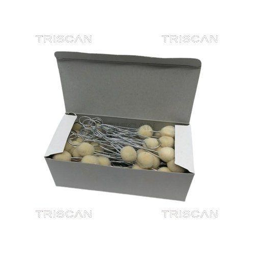 TRISCAN Scheibendemontage-Set R930157C