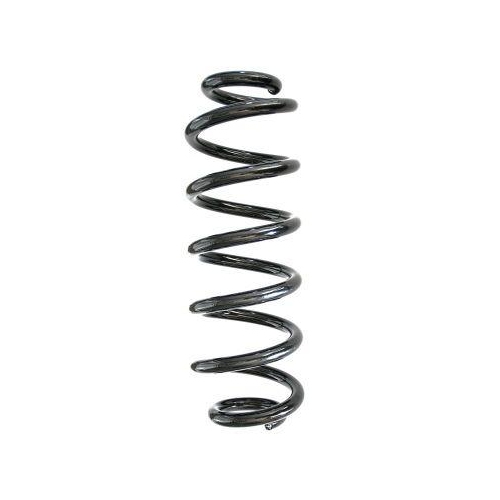 SPIDAN Fahrwerksfeder GKNW10019