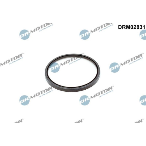 Dr.Motor Automotive Wellendichtring, Kurbelwelle DRM02831