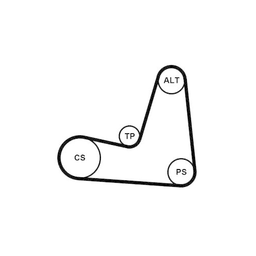CONTINENTAL CTAM Keilrippenriemensatz 5PK1135K1