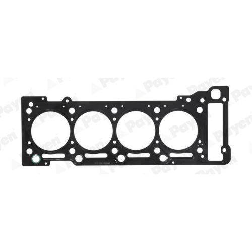 PAYEN Dichtung, Zylinderkopf AC5620
