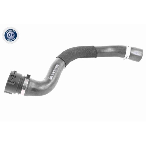 VAICO K&uuml;hlerschlauch Q+, Erstausr&uuml;sterqualit&auml;t