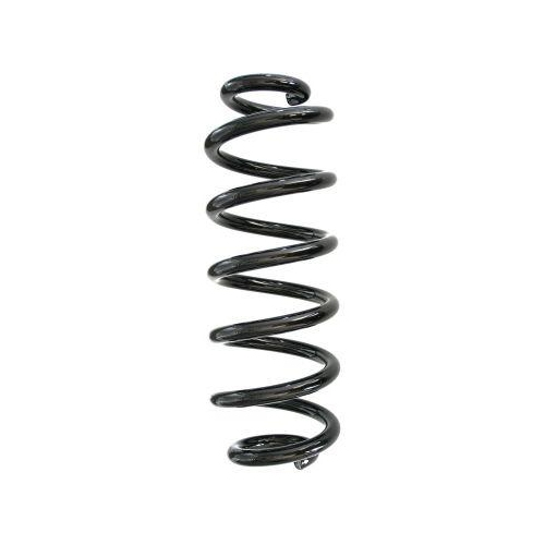 SPIDAN Fahrwerksfeder GKNW10020