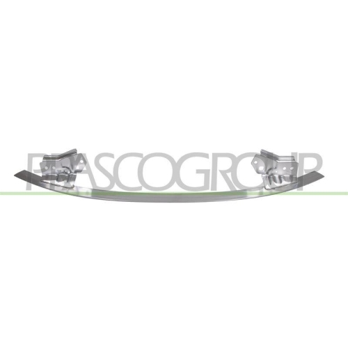 PRASCO Tr&auml;ger, Sto&szlig;f&auml;nger TS3001632