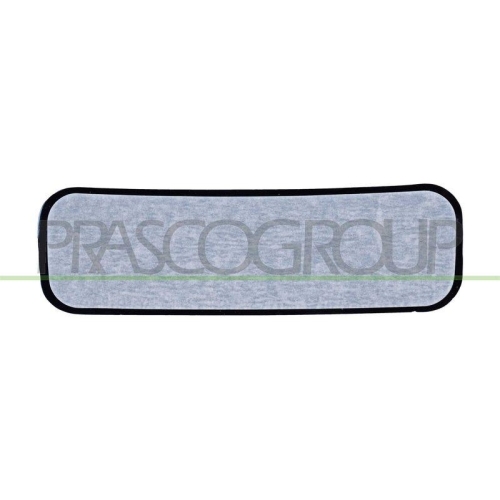 PRASCO Spiegelglas, Au&szlig;enspiegel FT9267515