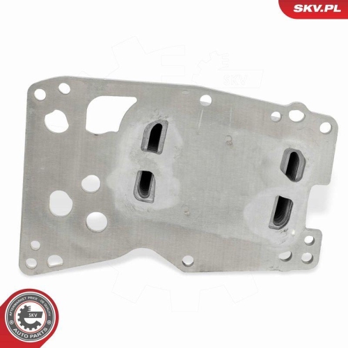 ESEN SKV &Ouml;lk&uuml;hler, Motor&ouml;l 31SKV378