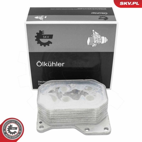 ESEN SKV &Ouml;lk&uuml;hler, Motor&ouml;l 31SKV383