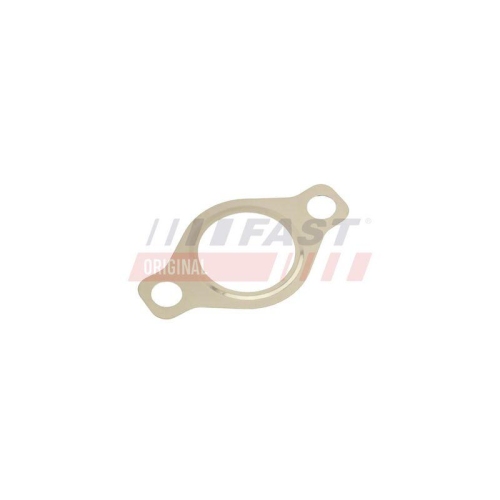 FAST Dichtung, AGR-Ventil FT50618
