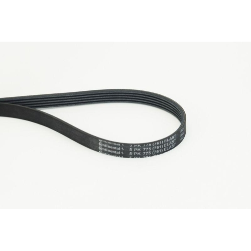 CONTINENTAL CTAM Keilrippenriemen 5PK775 ELAST
