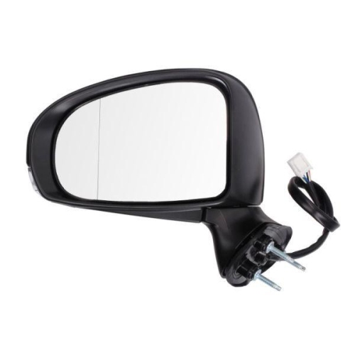 BLIC Außenspiegel 5402-19-2002451P