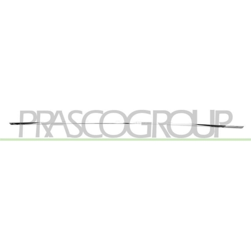 PRASCO Zier-/Schutzleiste, Sto&szlig;f&auml;nger VV6001255
