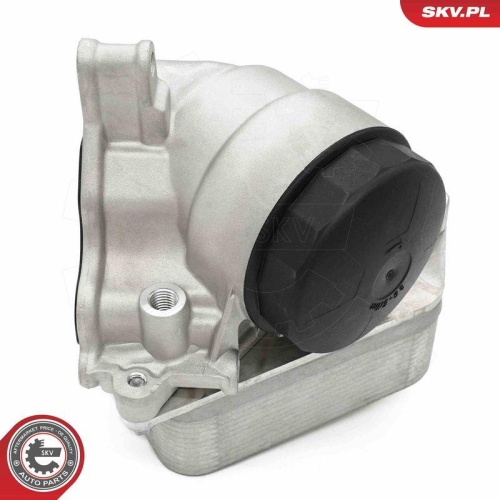ESEN SKV &Ouml;lk&uuml;hler, Motor&ouml;l 31SKV442