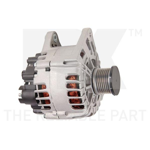 NK Generator 4839781