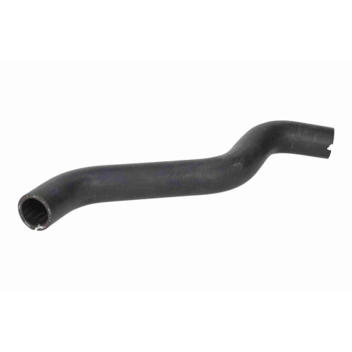 VAICO K&uuml;hlerschlauch Original VAICO Qualit&auml;t V24-1591