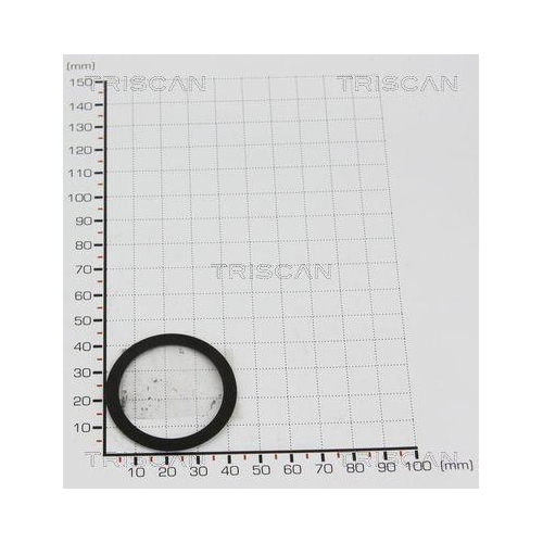 TRISCAN Dichtung 8813 993