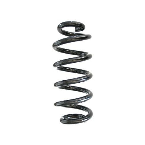 SPIDAN Fahrwerksfeder GKNW10024