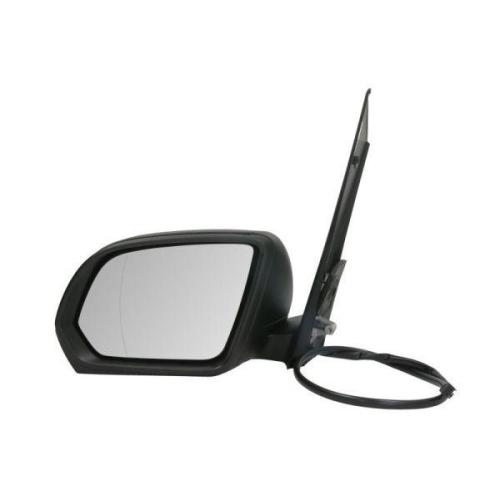 BLIC Außenspiegel 5402-04-0203893P