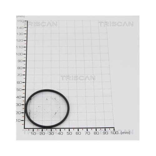 TRISCAN Dichtung 8813 9942