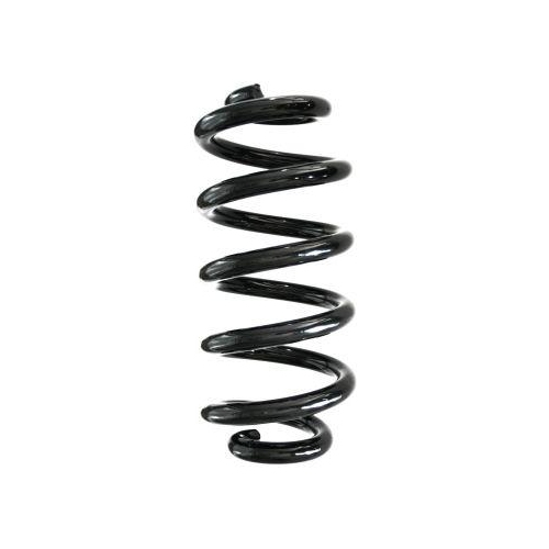 SPIDAN Fahrwerksfeder GKNW10025