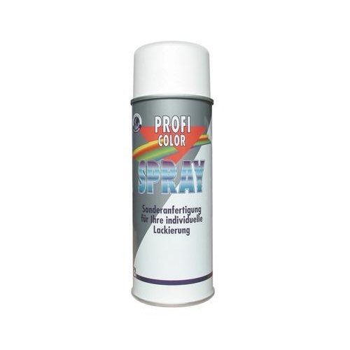 Spraydose bef&uuml;llbar 400ml 0,4L vorbegast PROFI COLOR 940979