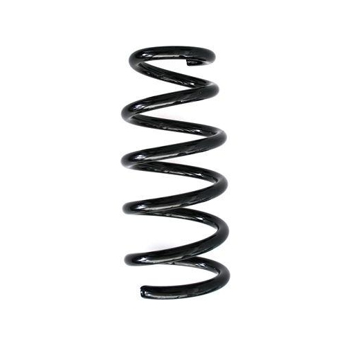 SPIDAN Fahrwerksfeder 86896