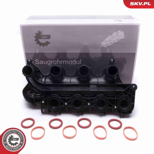 ESEN SKV Saugrohrmodul 49SKV065