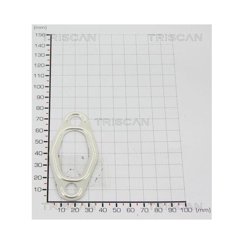 TRISCAN Dichtung 8813 9969