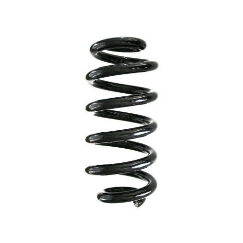 SPIDAN Fahrwerksfeder GKNW10026