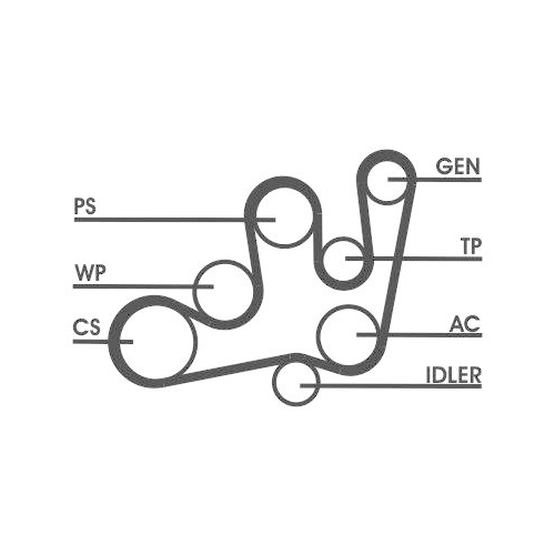 CONTINENTAL CTAM Keilrippenriemensatz 6PK1642D2
