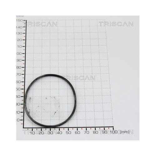 TRISCAN Dichtung 8813 997