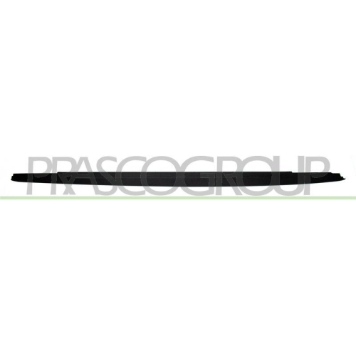 PRASCO Einstiegsleiste BM0531413