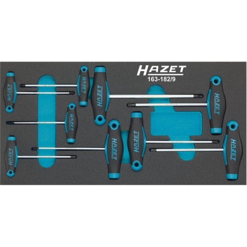HAZET Schraubendreher Satz T-Griff Innen Torx 9-teilig T6-T30 163-182/9