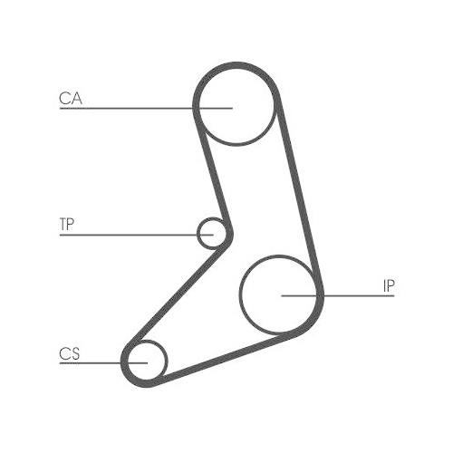 CONTINENTAL CTAM Zahnriemen CT542
