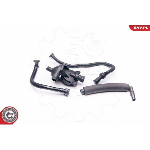 ESEN SKV Reparatursatz, Kurbelgehäuseentlüftung