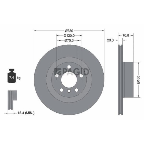PAGID Bremsscheibe 55563NC