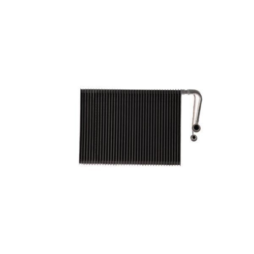 MAHLE Verdampfer, Klimaanlage BEHR AE 189 000S