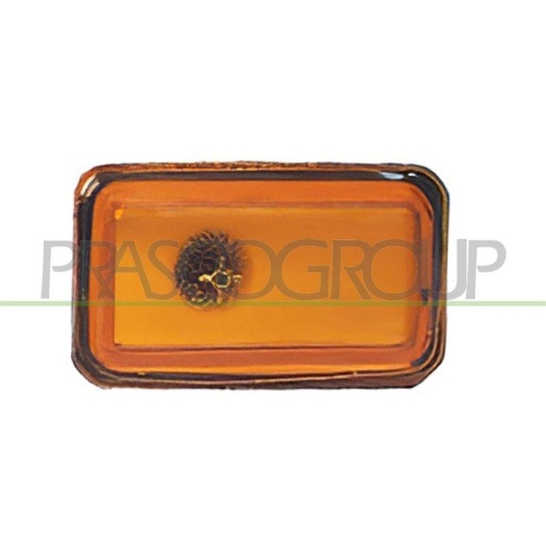 PRASCO Blinkleuchte VG0284039