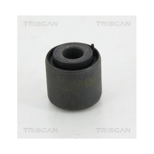 TRISCAN Trag-/F&uuml;hrungsgelenk 8500 12809