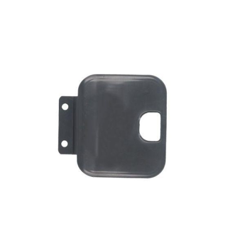 PACOL Trittbrett MAN-SP-013