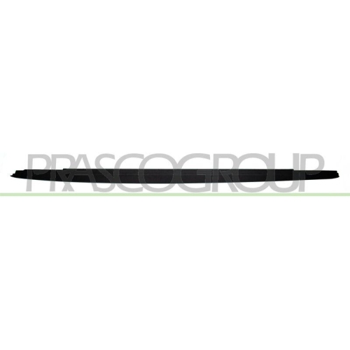 PRASCO Einstiegsleiste BM0531414