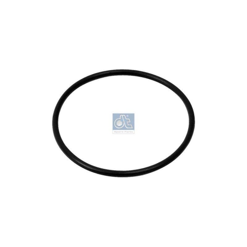 DT Spare Parts Dichtring 1.16266