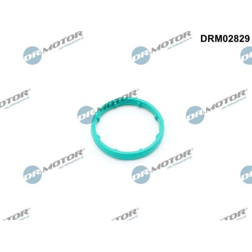 Dr.Motor Automotive Dichtung, &Ouml;lk&uuml;hler DRM02829