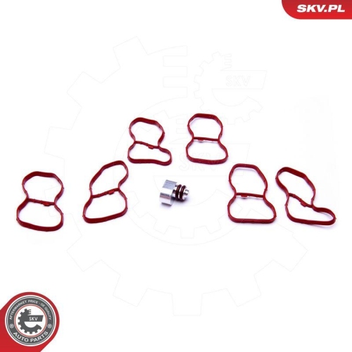 ESEN SKV Reparatursatz, Saugrohrmodul 49SKV516