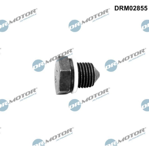 Dr.Motor Automotive Verschlussschraube, &Ouml;lwanne DRM02855