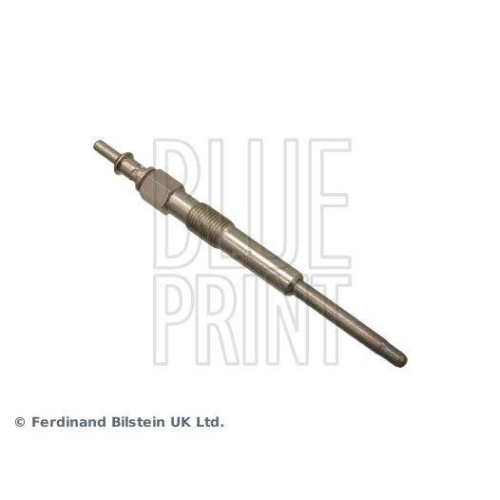 BLUE PRINT Gl&uuml;hkerze ADG01810